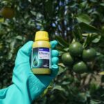 Insektisida Efficon, BASF