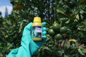 Insektisida Efficon, BASF