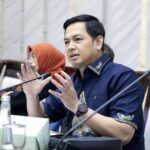 Tommy Kurniawan, DPR