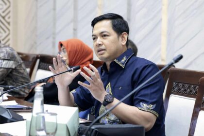 Tommy Kurniawan, DPR